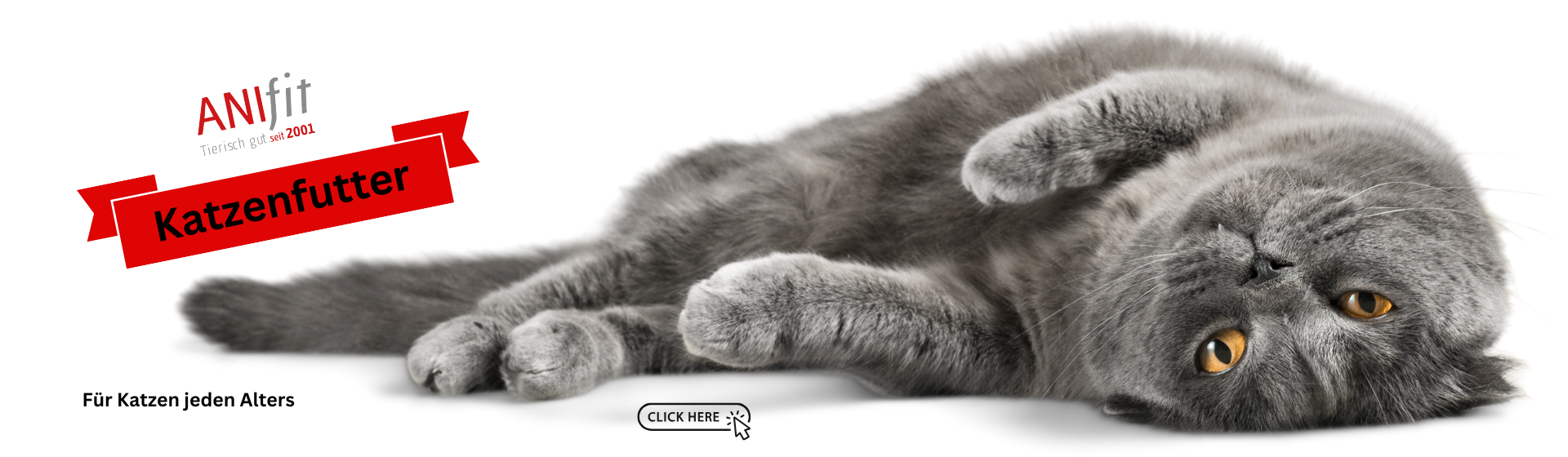 Katzenfutter